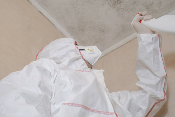 Why You Should Choose Our Mold Remediation Services in Enigma, GA